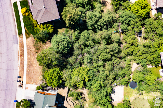 Property Photo: 831 E San Simeon Way UT 84010