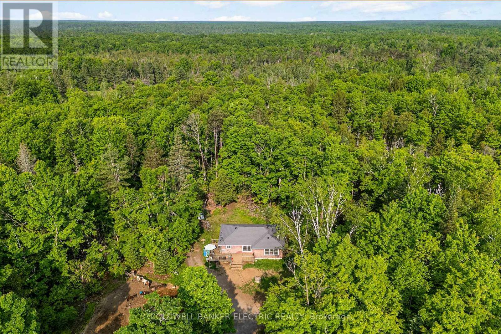 8248 County Road 46 Road  Havelock-Belmont-Methuen ON K0L 1A0 photo
