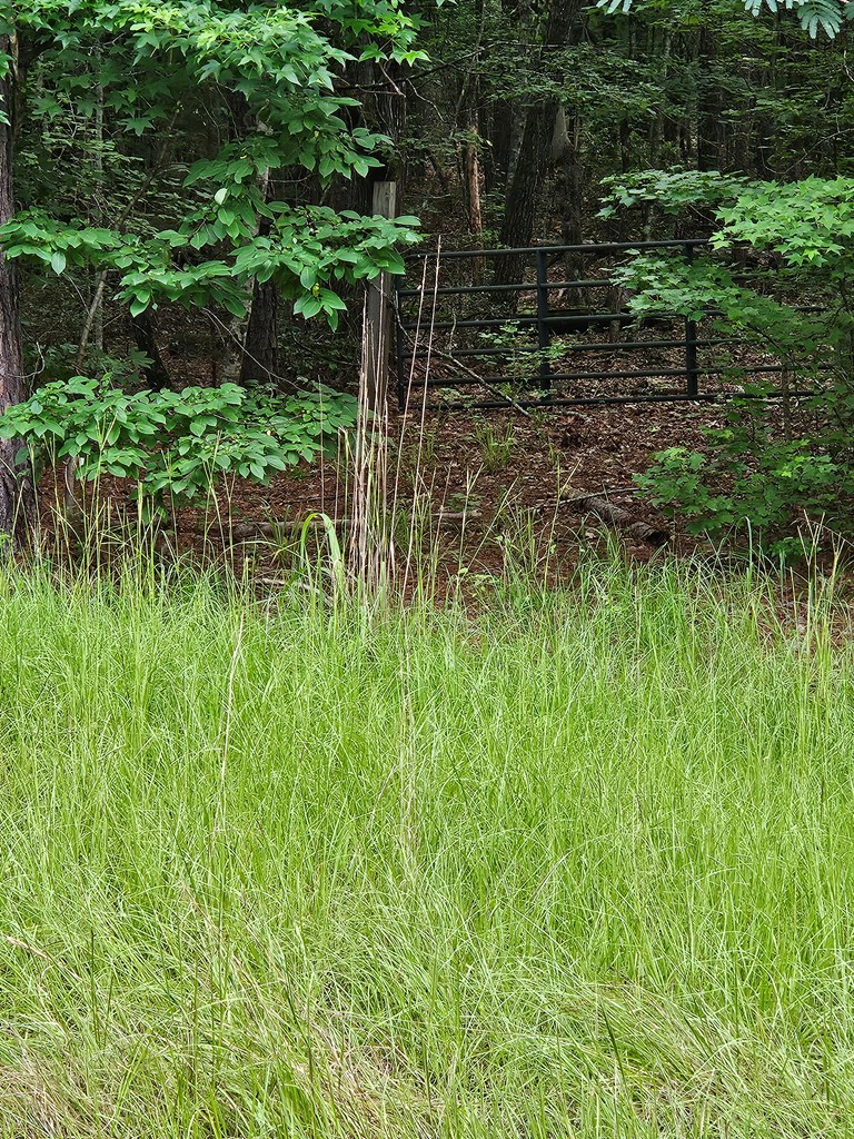 Property Photo: 0 Barnes Mill Road GA 31811