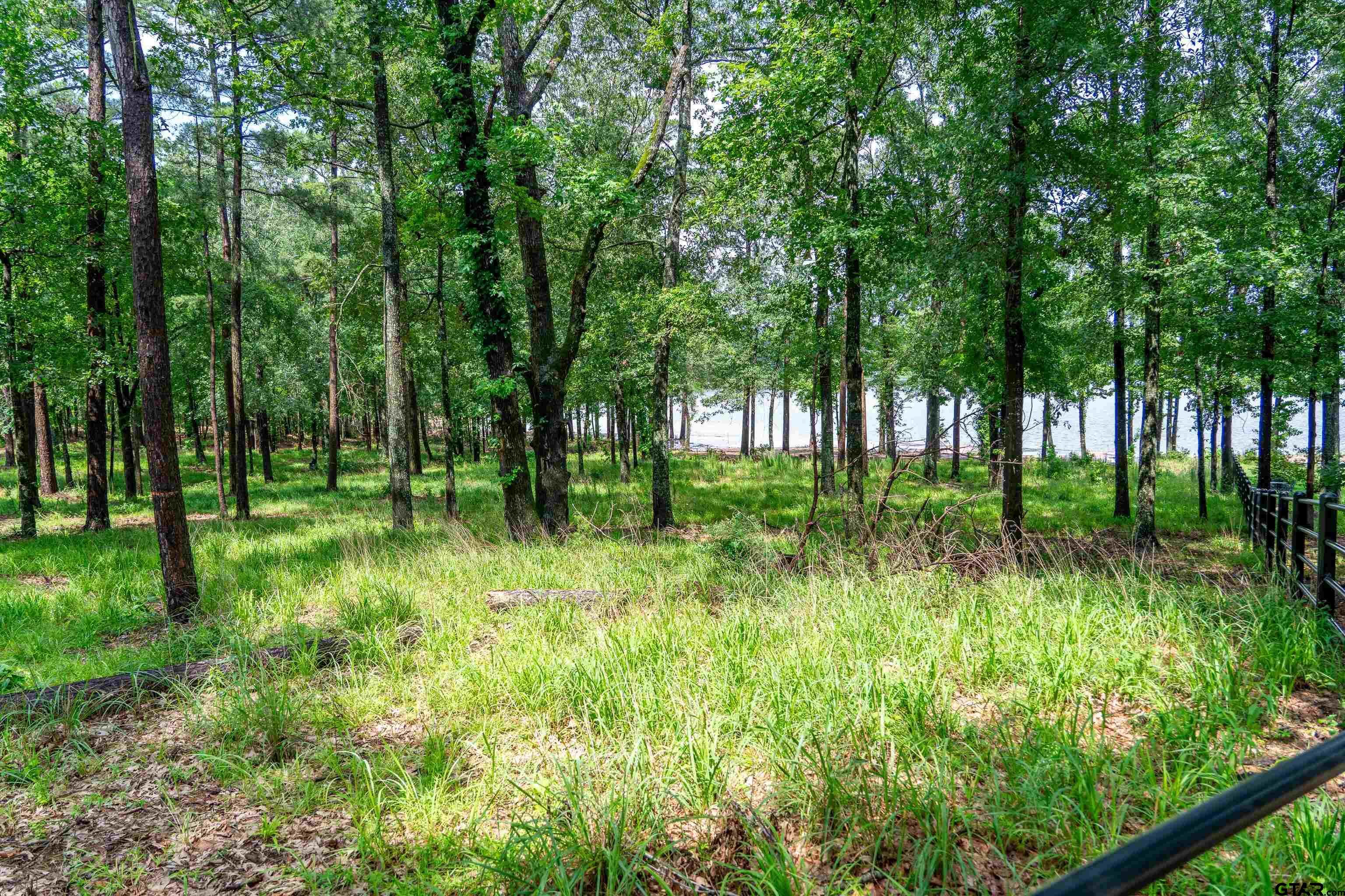 Property Photo: Lot 1 Ezelle Way TX 75480