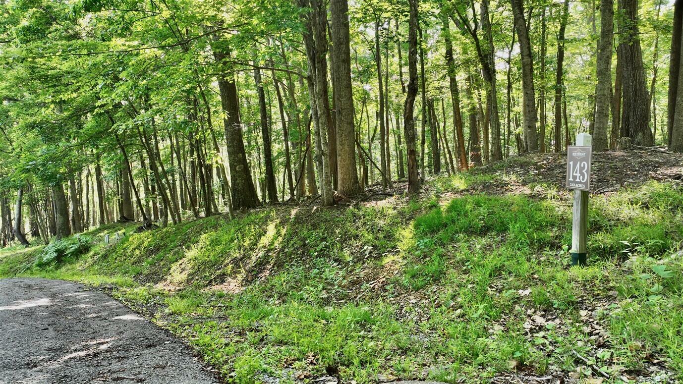Property Photo: Lot 143 Withrow Lndg WV 24925