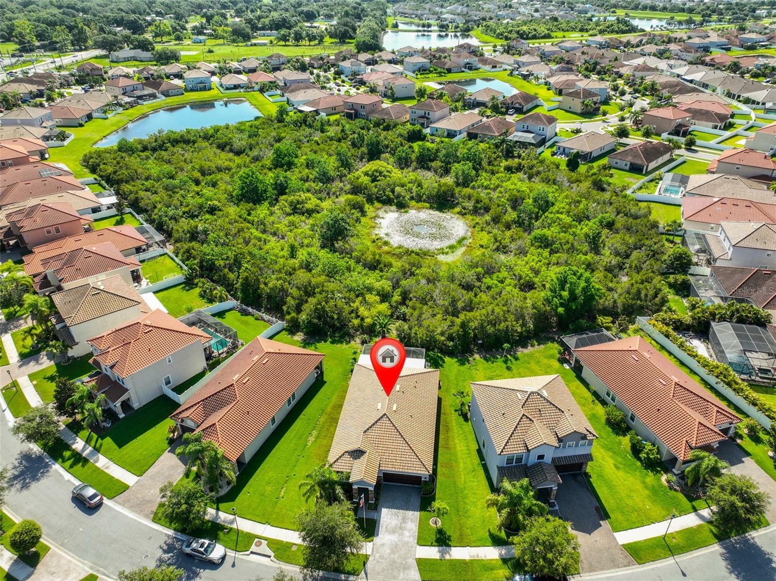 Property Photo: 13113 Green Violet Drive FL 33579