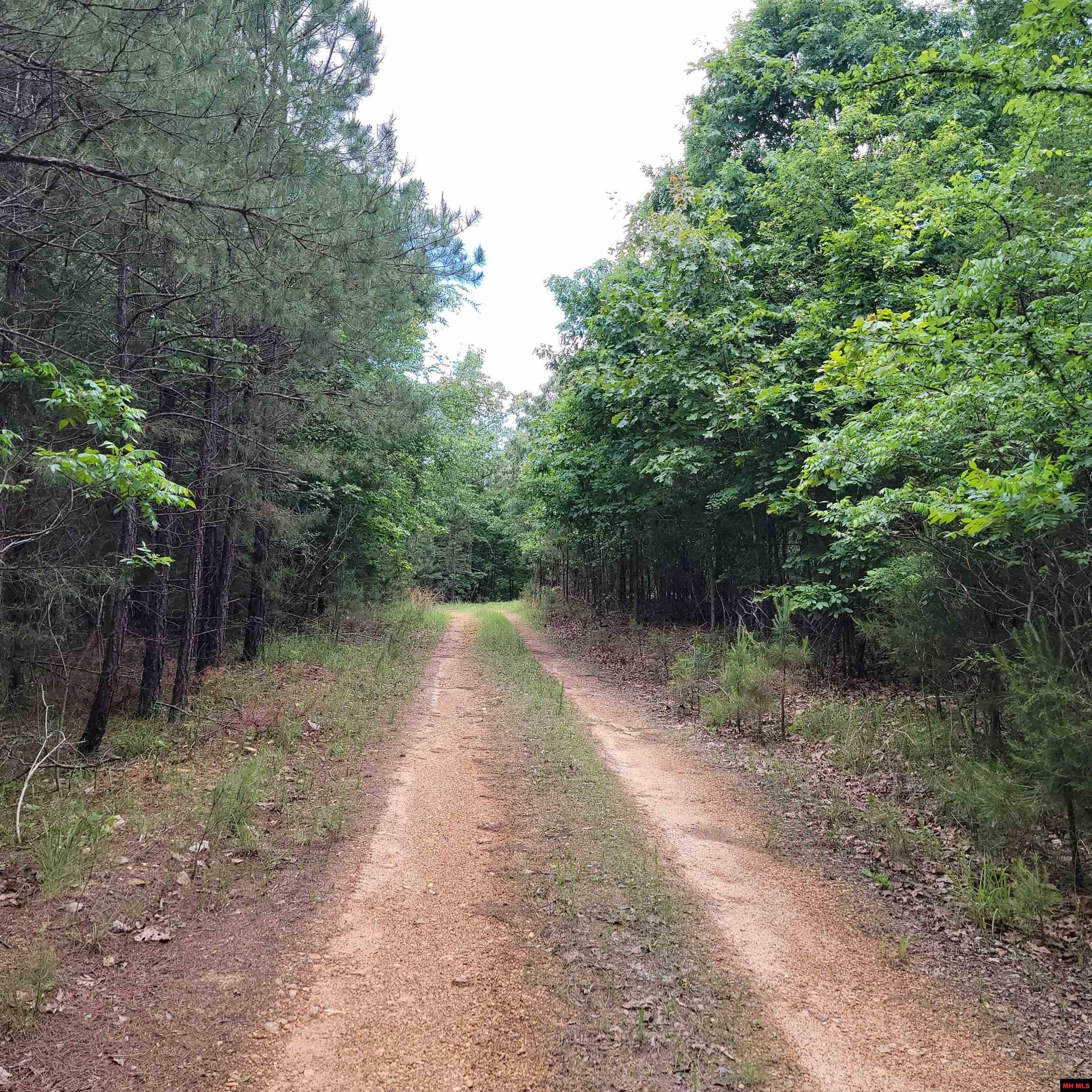 Property Photo: Lot 2 Reynolds Island Cove AR 72531