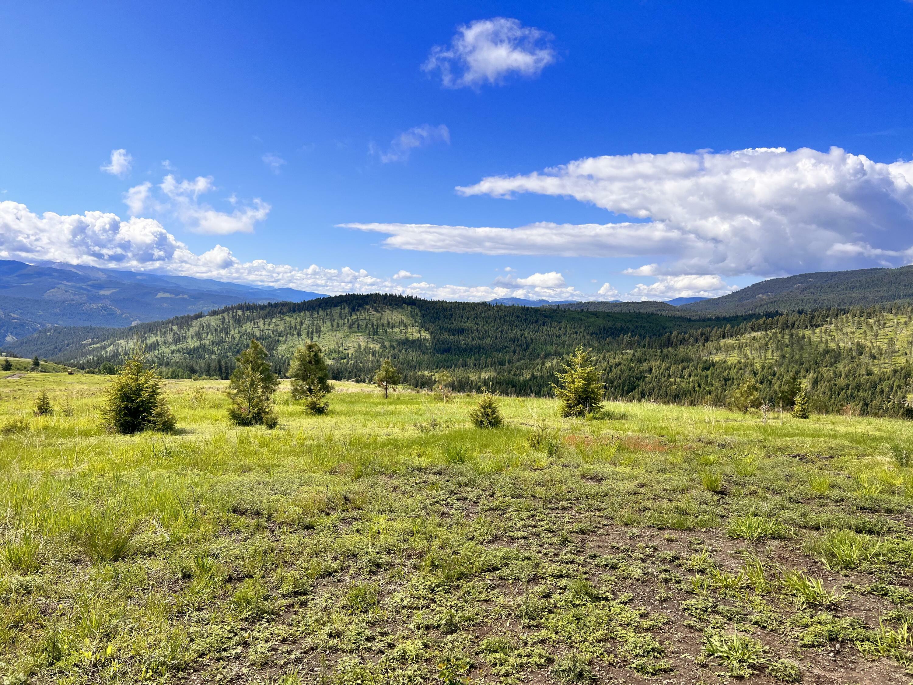 Property Photo: 39 Moonlight Dr WA 99118