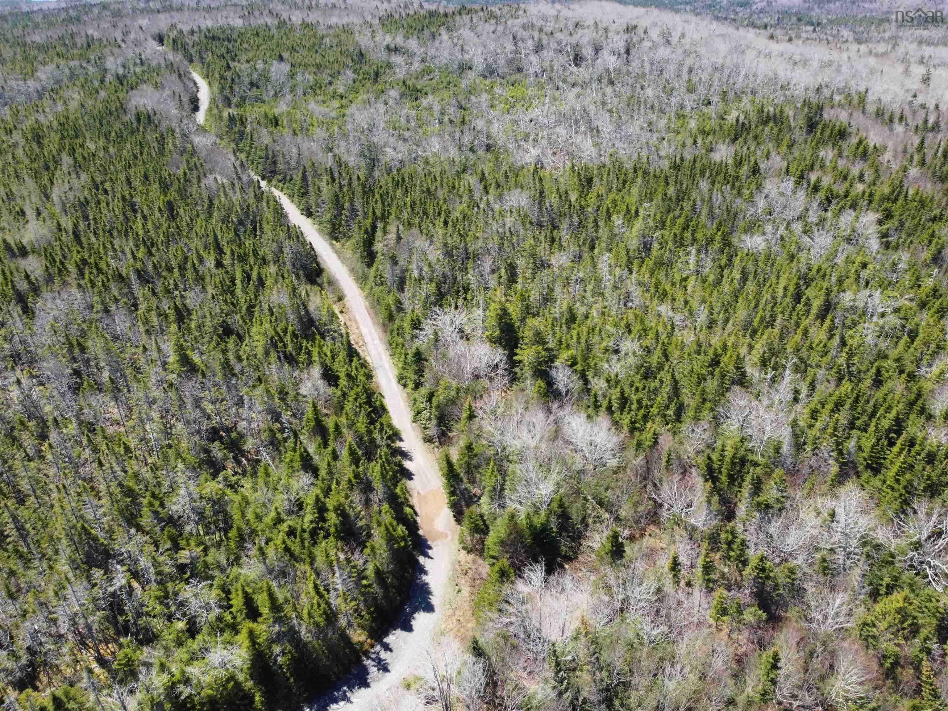 Property Photo:  Grant 16738 Moser River North Road  NS B0J 2K0 