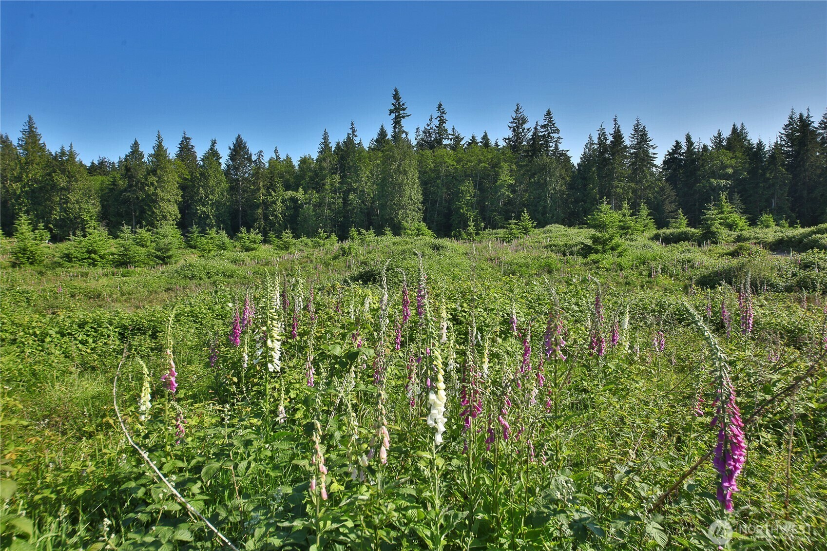 Property Photo: 2062 Goodell Road WA 98249
