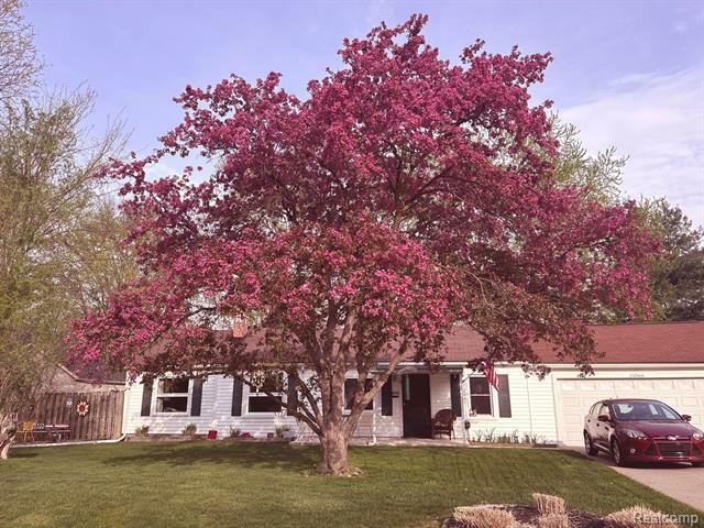 33566 Rhonswood Street  Farmington Hills MI 48335 photo