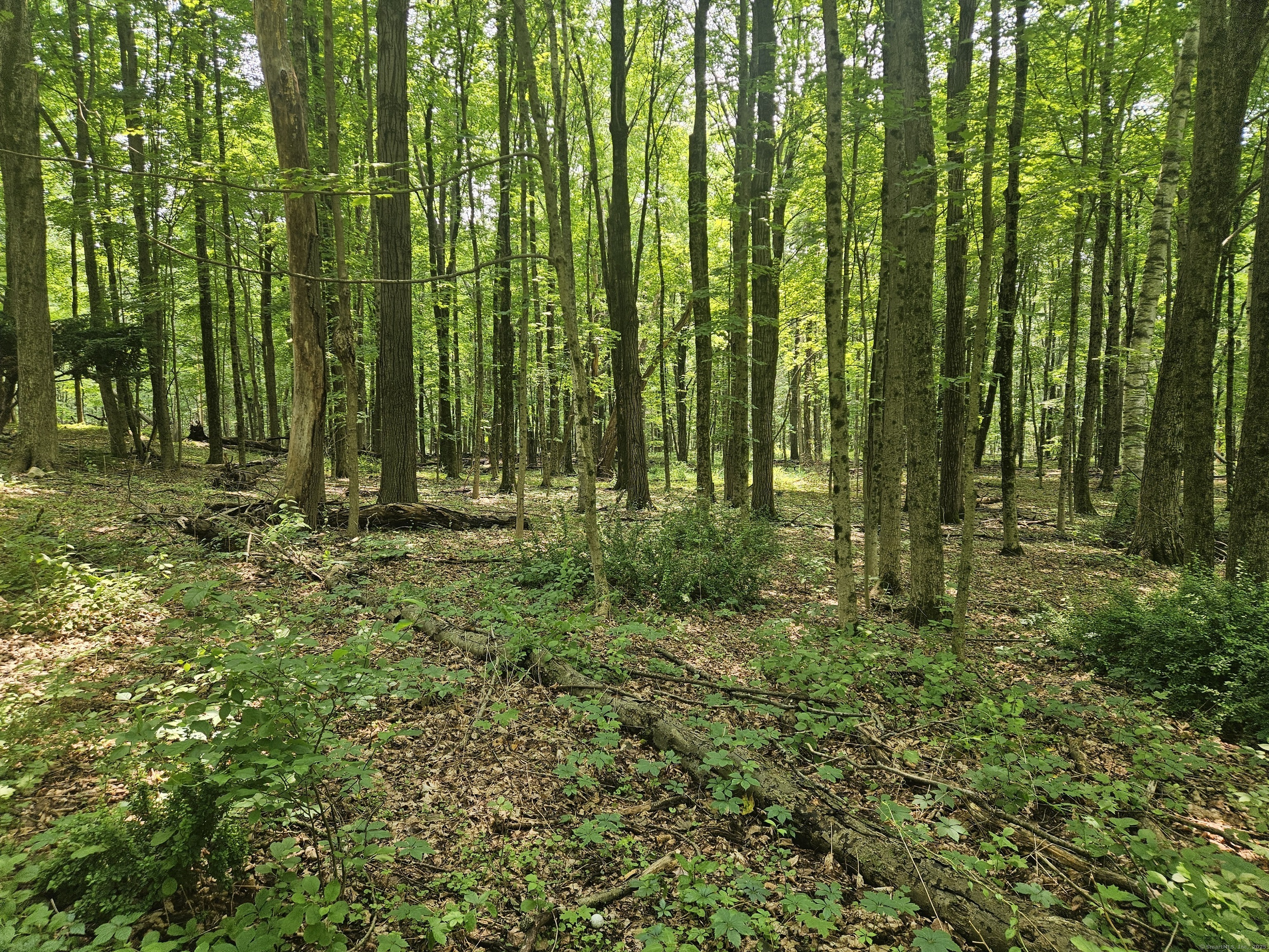 Property Photo: 0 Taylor Road CT 06776