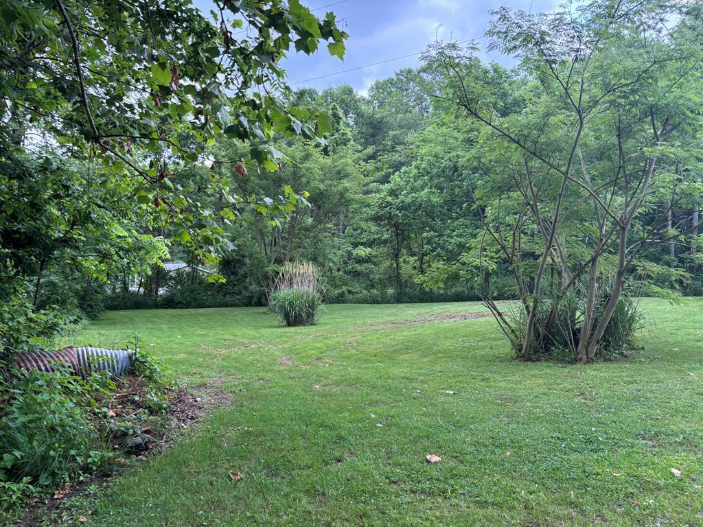 Property Photo: 0 Luckhart Road OH 45644