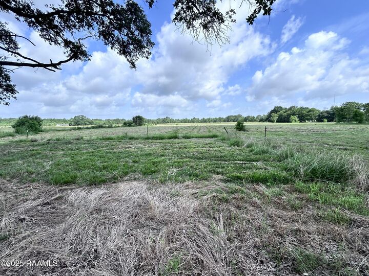 Property Photo:  Tbd Sonnier Road 3-E  LA 70525 
