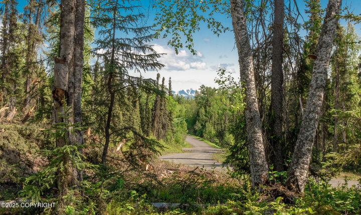 Property Photo: Lot 11 Lambeau Court AK 99672