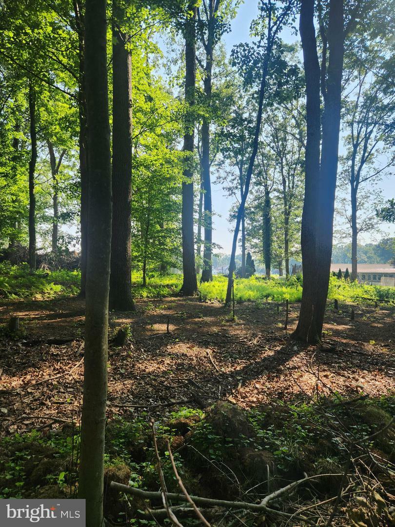 Property Photo: 3977 Street Road MD 21154
