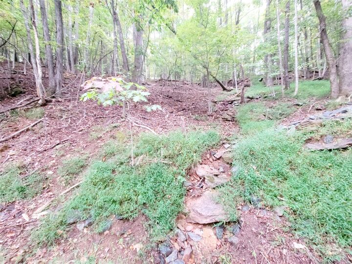 47 Sourwood Drive 197  Mills River NC 28759 photo