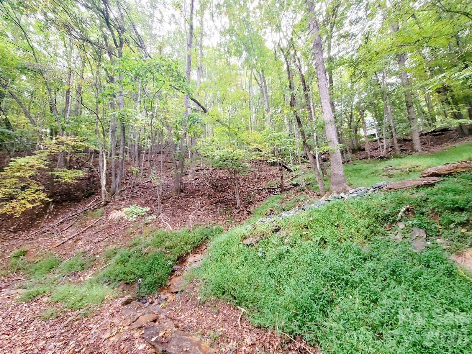 Property Photo:  47 Sourwood Drive 197  NC 28759 
