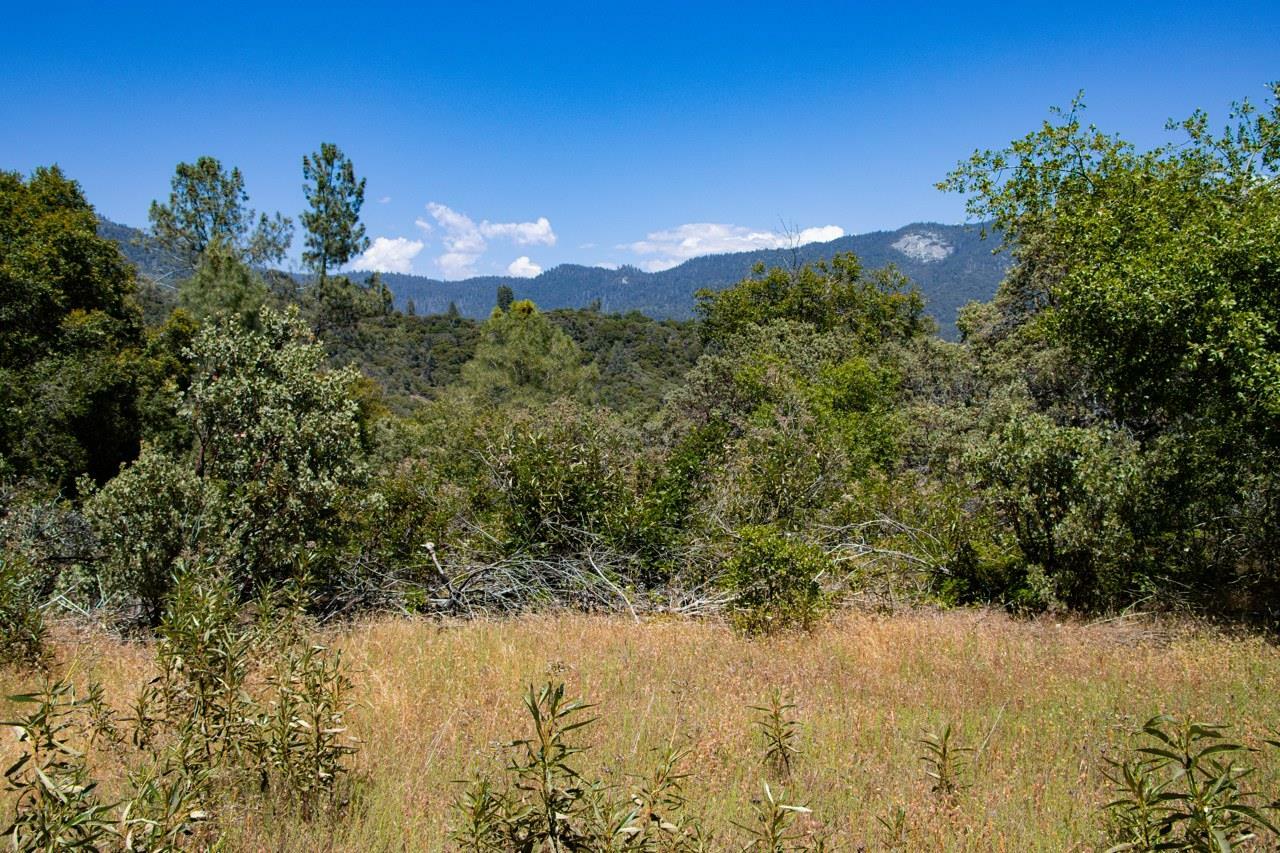 Property Photo: 0 Leaning Pine Way CA 95338