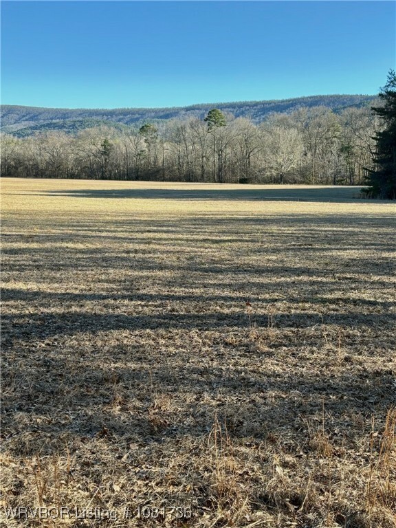 Property Photo: Tbd Lot 4 Rocky Road OK 74939