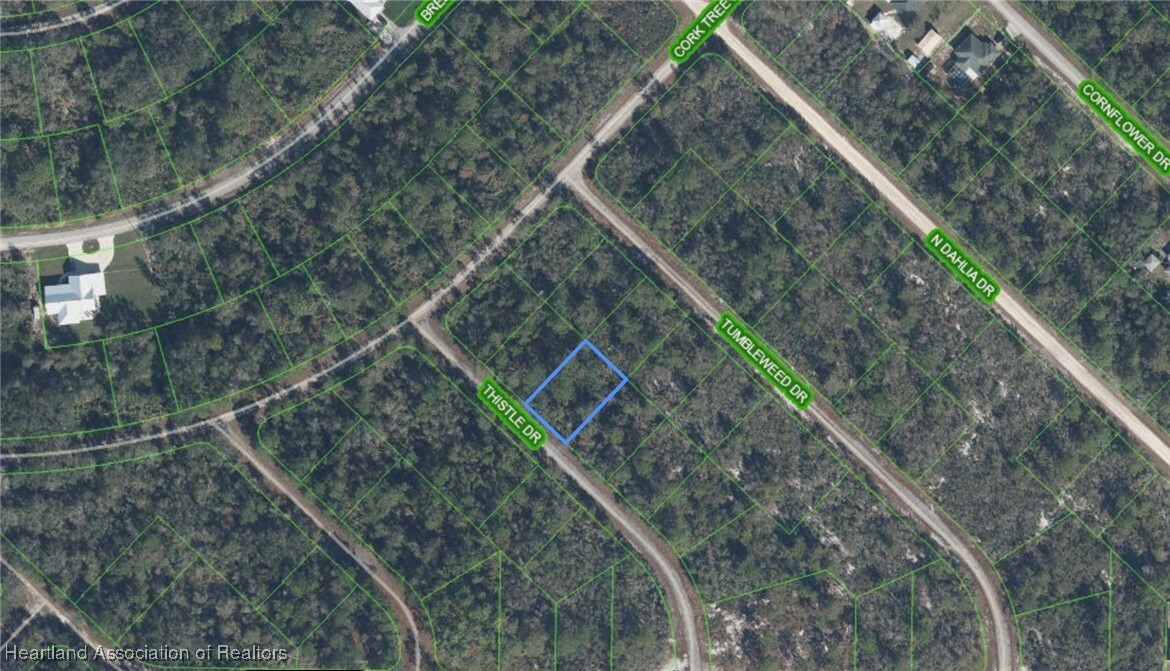 Property Photo:  3229 Thistle Drive  FL 33852 
