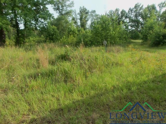 Property Photo: Tbd Whiteside Lane Cr 1127D TX 75662