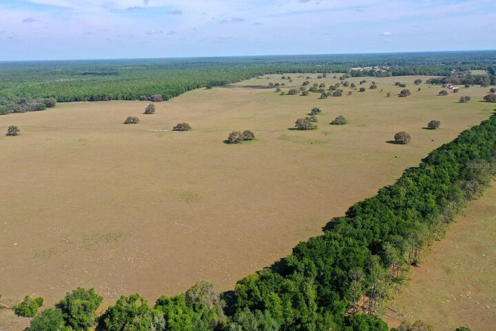 Property Photo: S Old Jones Rd Road FL 34436