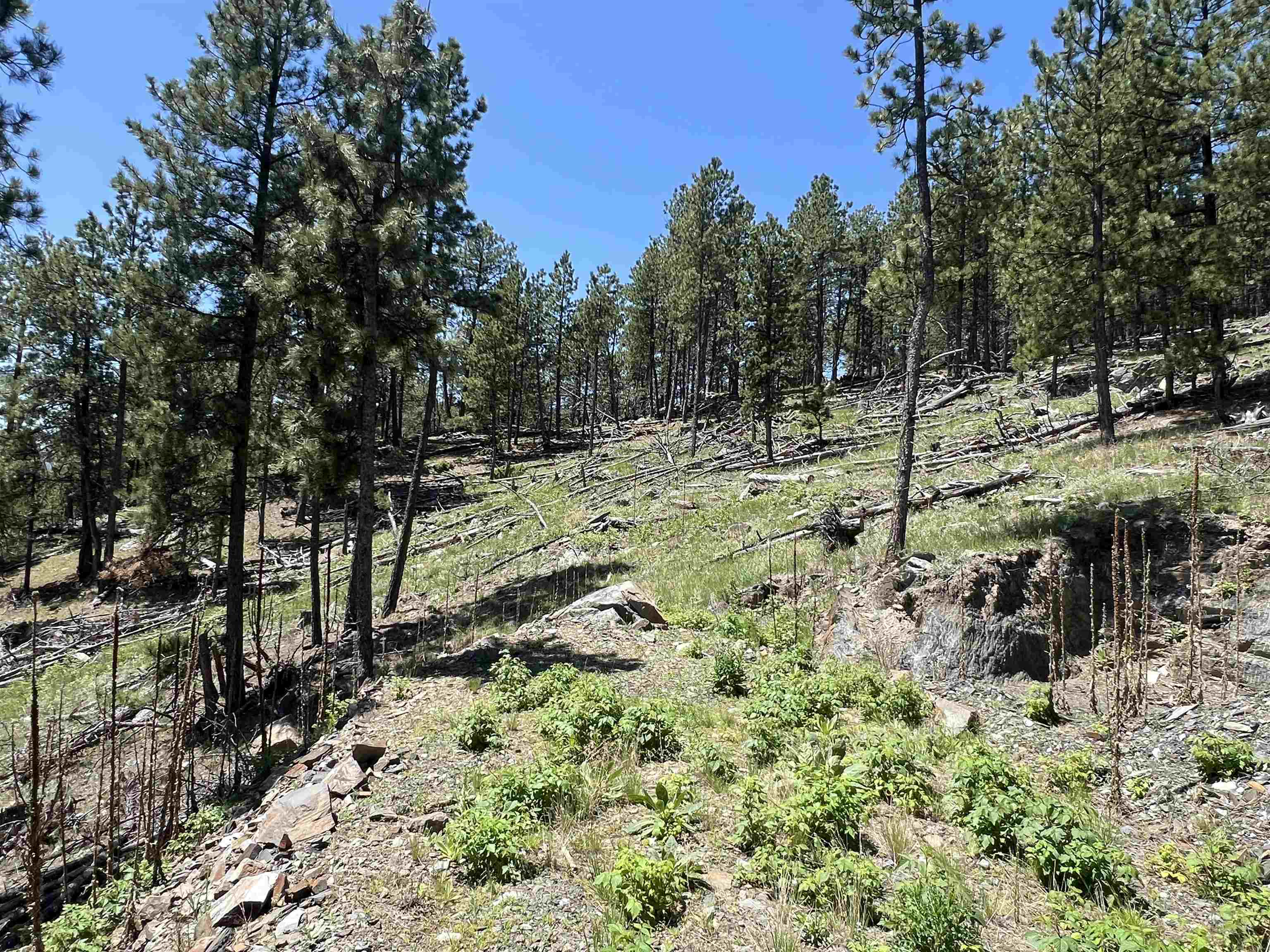Property Photo: 1ab Tbd Deegan Drive SD 57745