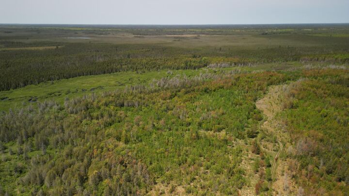 Property Photo:  609absec19t43nr13ws1/2ofse1/4  MI 49840 