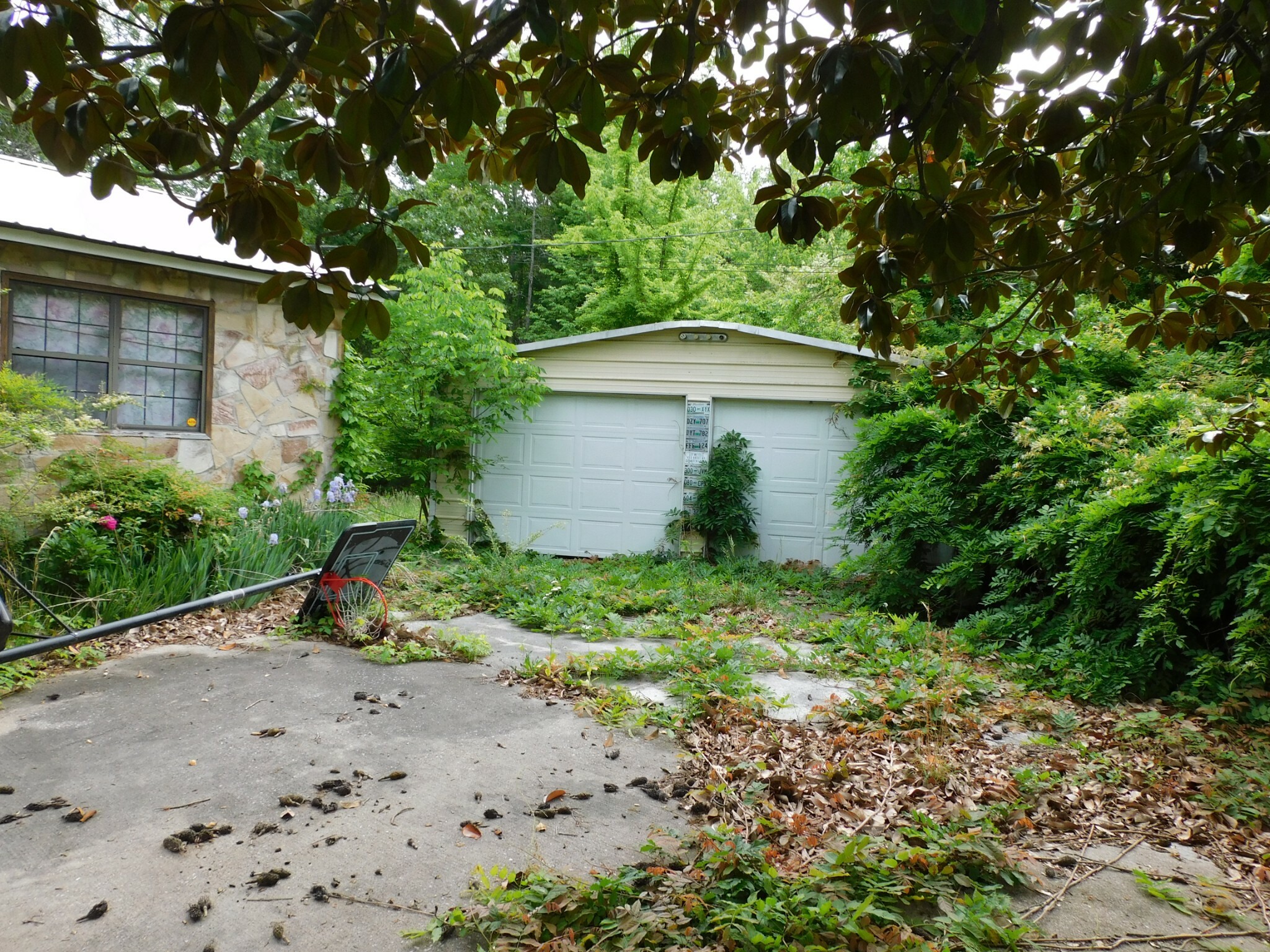 Property Photo: 6406 Brenda Ct TN 37341