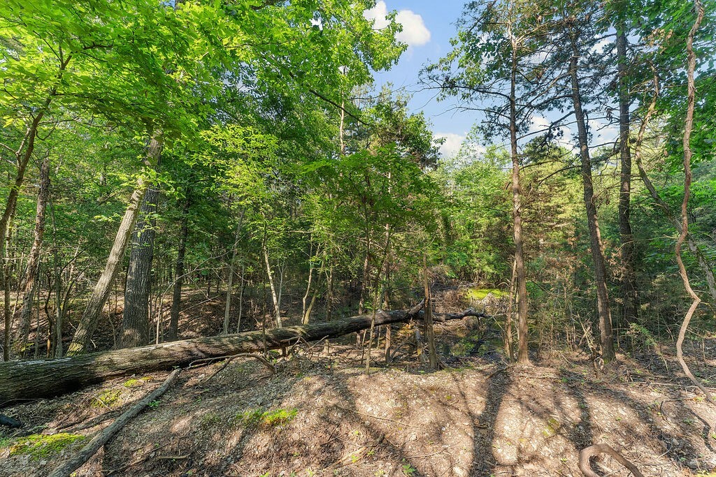 Property Photo:  Lot #3 Wedgewood Drive  AR 72732 