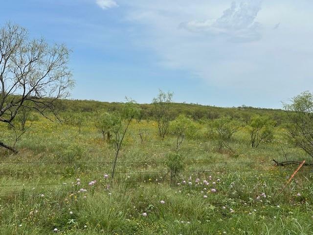 4523 SW Timber Lane Road  Indiahoma OK 73552 photo