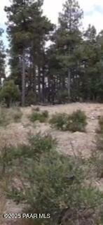 Property Photo:  0 Tall Pine Trail  AZ 86303 