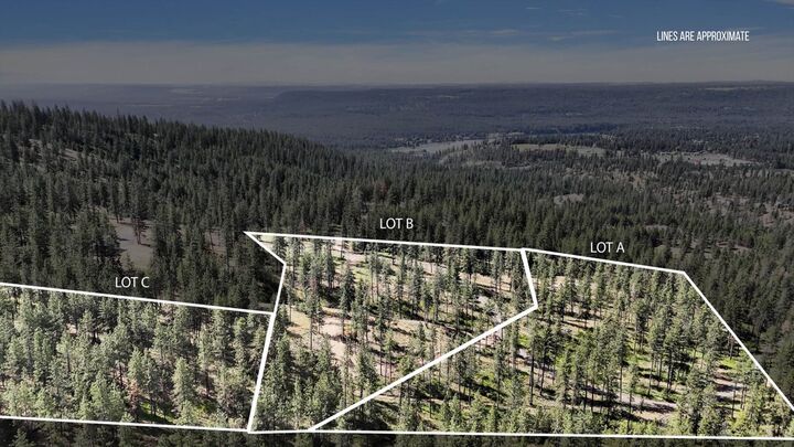 Property Photo: Nka Lower Weaver Lots A, B, C Way WA 99006
