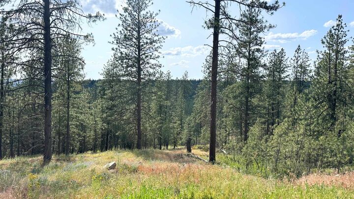 Property Photo: Nka Lower Weaver Lots A, B, C Way WA 99006