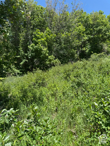Property Photo: Unknown UT 84629