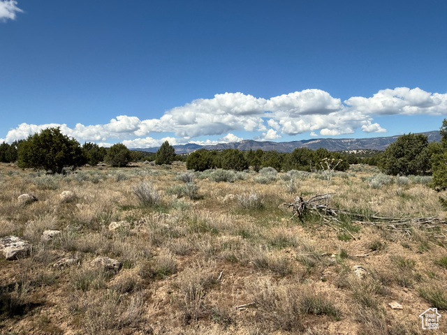Unknown  Spring City UT 84662 photo