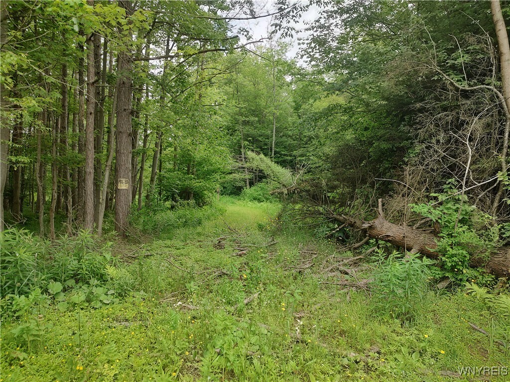Property Photo: Trevett Road NY 14141