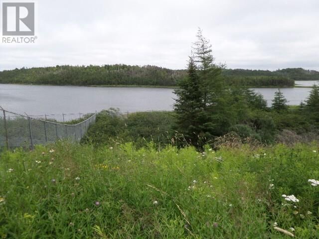 Property Photo:  Lot 1 Junction Lot 1  NL A0B 3K0 