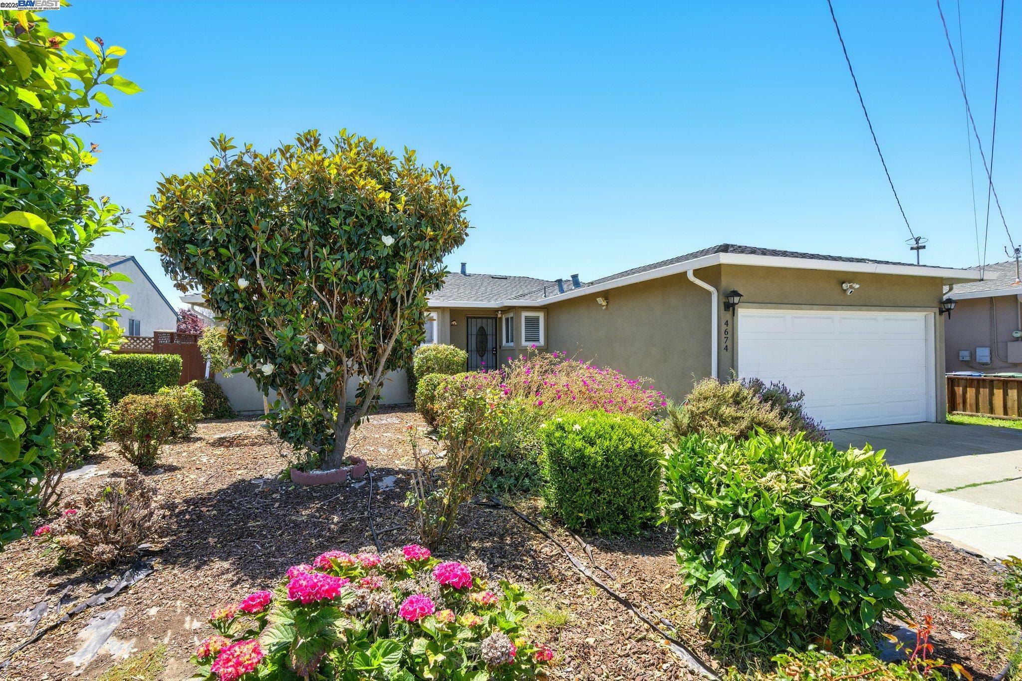 Property Photo: 4674 Cambio Ct CA 94536