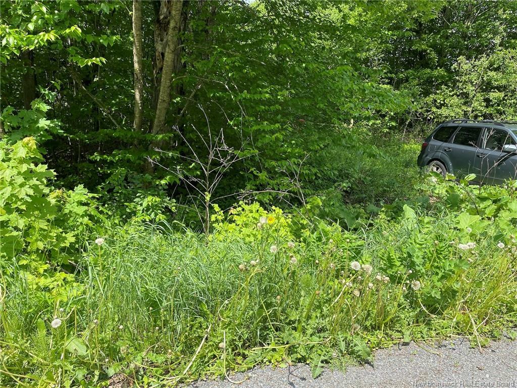 1133 Route 570  Gordonsville NB E7L 2P1 photo