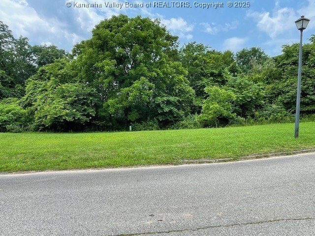 Property Photo: 0 Brenda Lane WV 25312