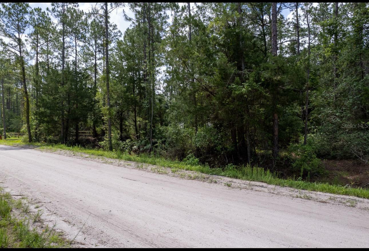 Property Photo: 5661 Ironwood Avenue FL 32110