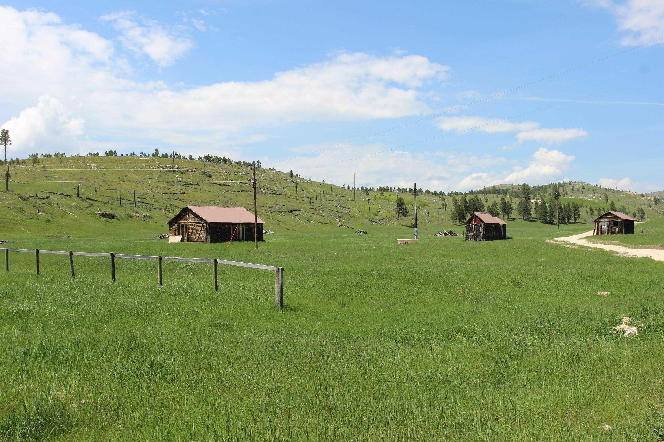 Property Photo: 11246 Custer Limestone Road SD 57730-0000