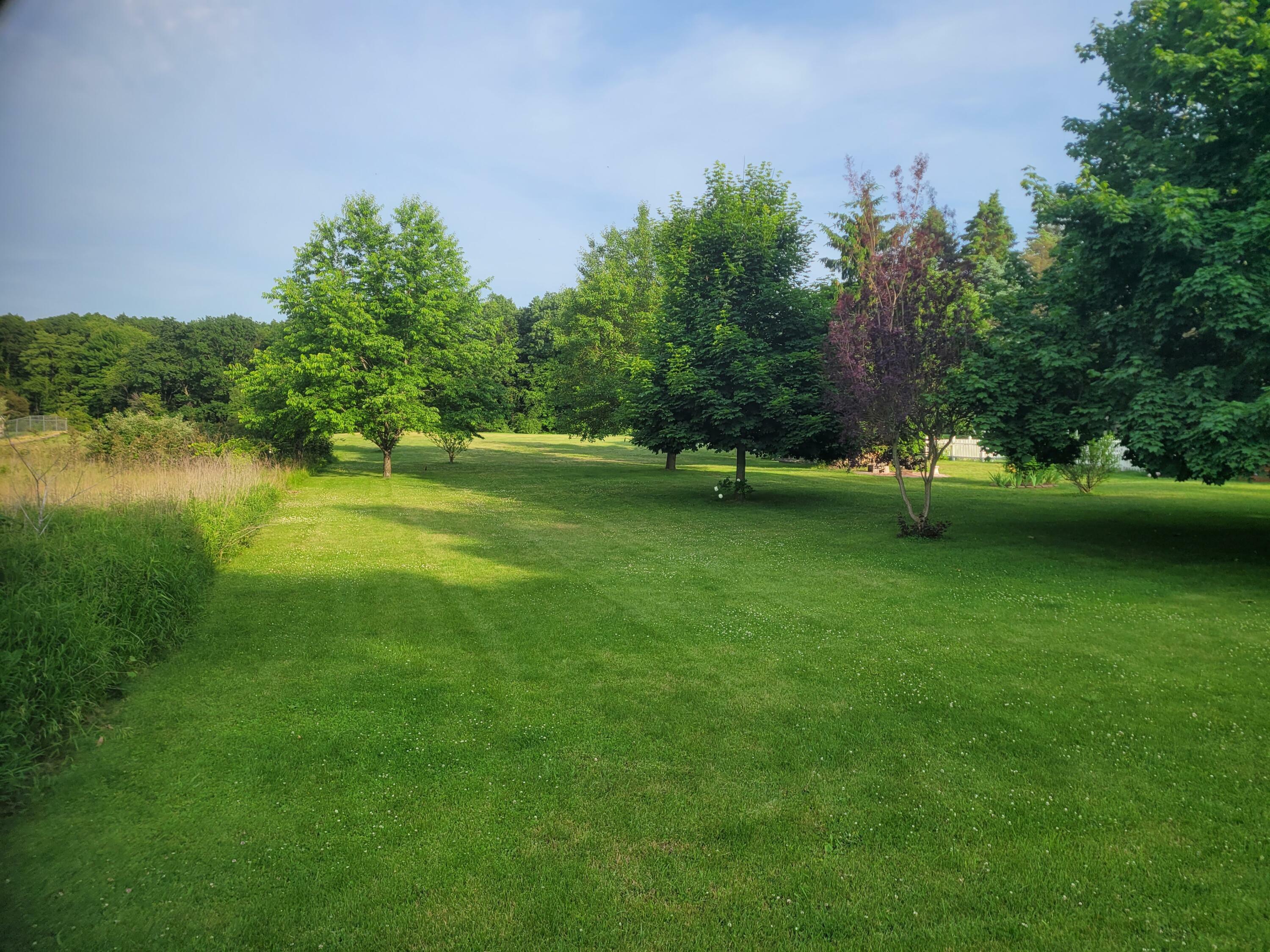 Property Photo:  10041 Brooklawn Court  MI 49249 