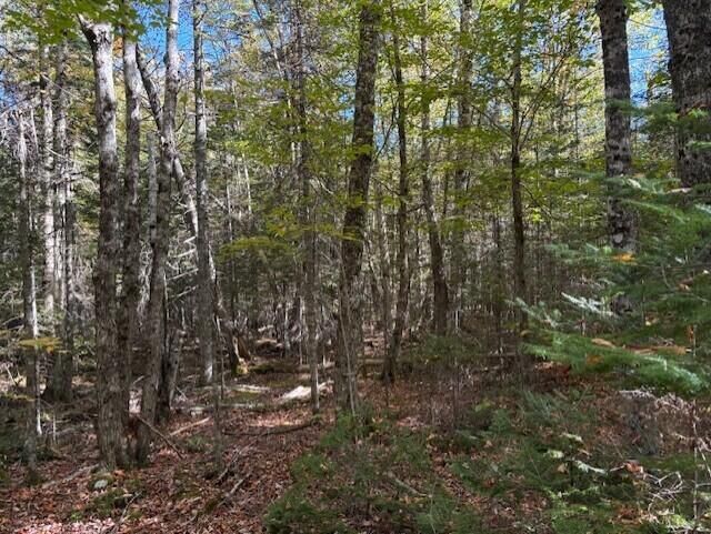 Property Photo:  Lot 21 Marion Station Road  ME 04628 