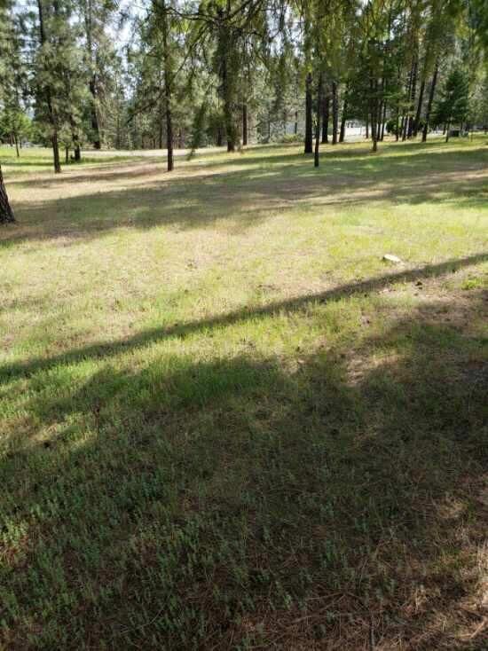 Property Photo: 256 Eagle Dr. Dr WA 99109