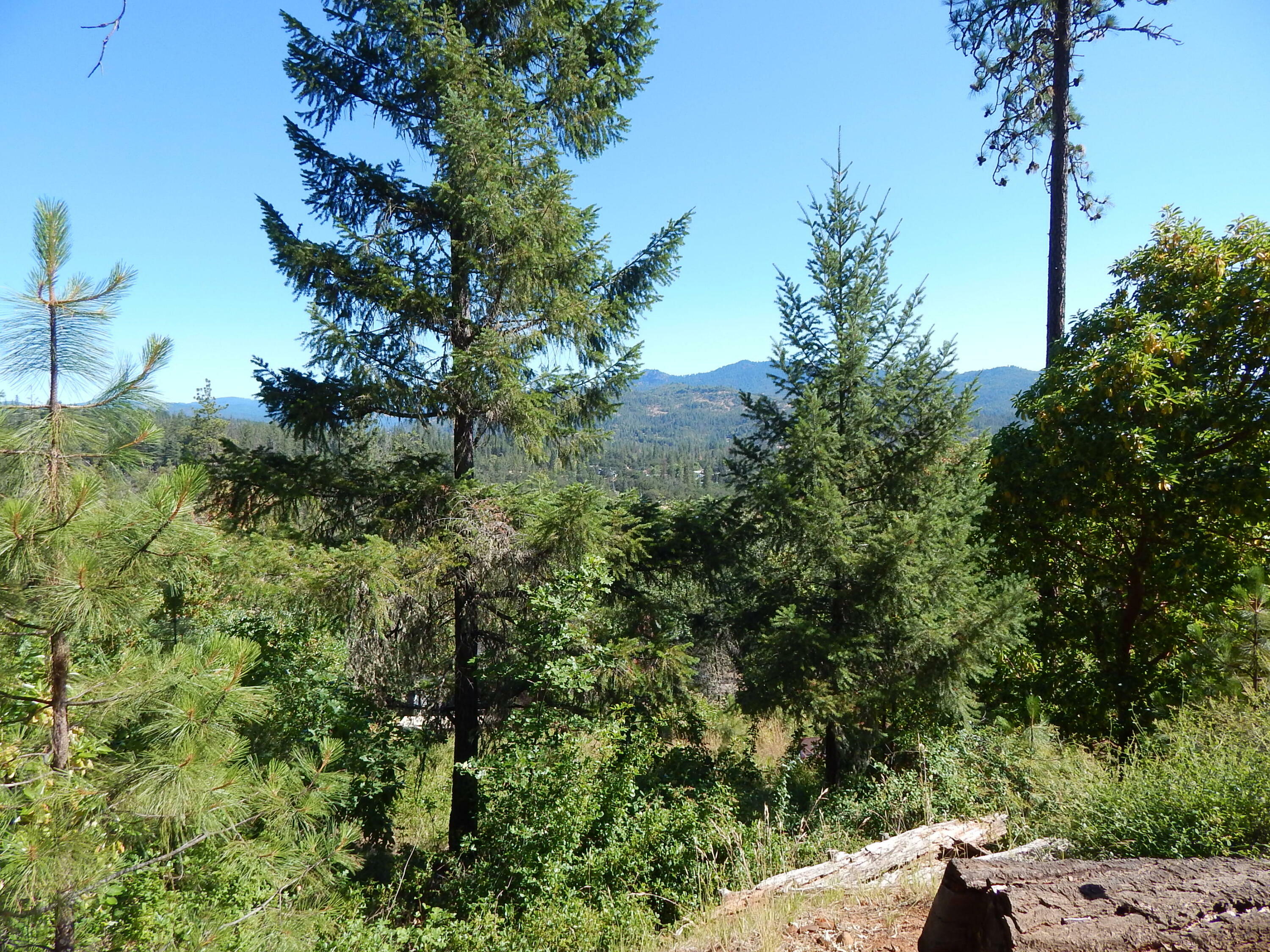 Property Photo: 635 Sarma Drive OR 97539