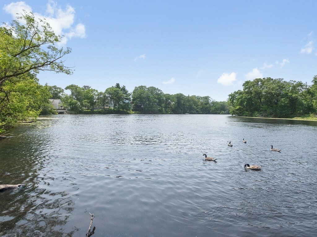 Property Photo:  110 Woerd Avenue  MA 02453 