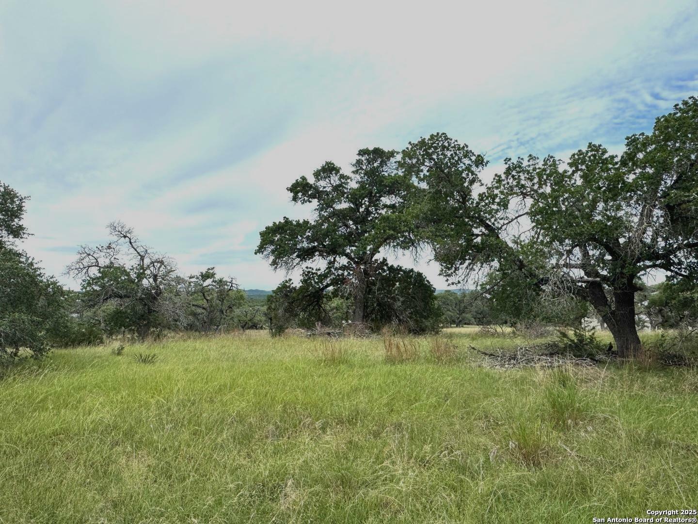 Property Photo: 34776 High Gate TX 78163