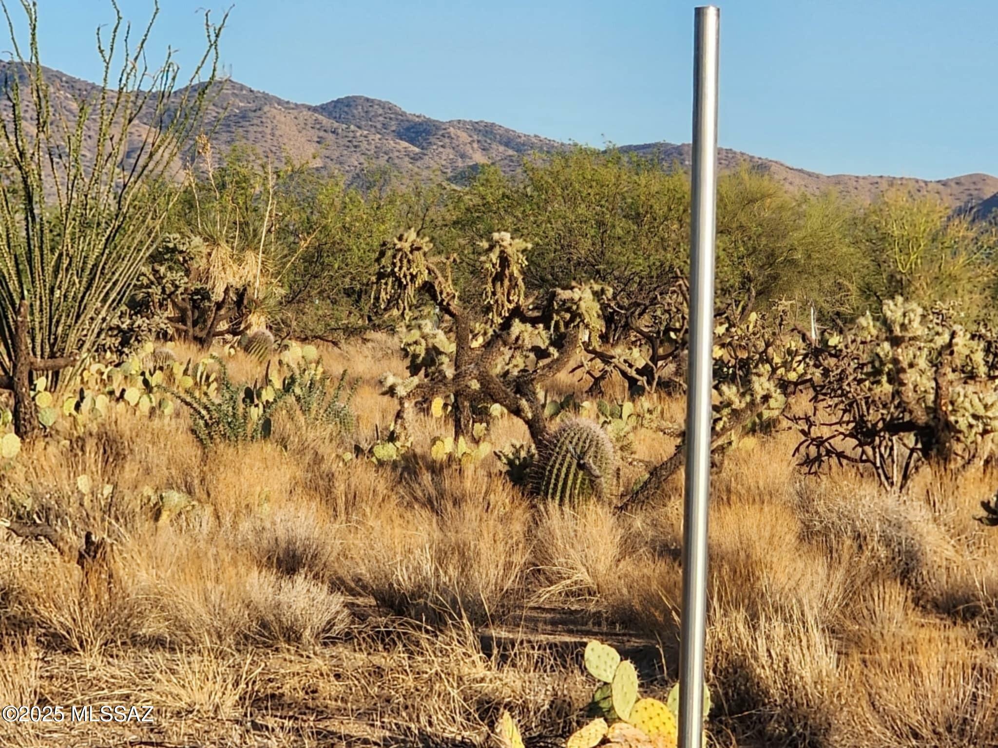 Property Photo: 15035 S Muldoon Avenue 115 AZ 85736