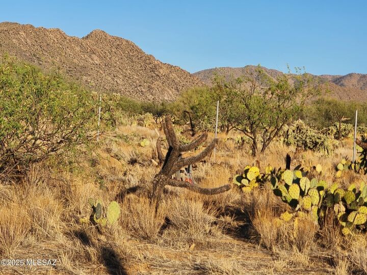 Property Photo: 15035 S Muldoon Avenue 115 AZ 85736