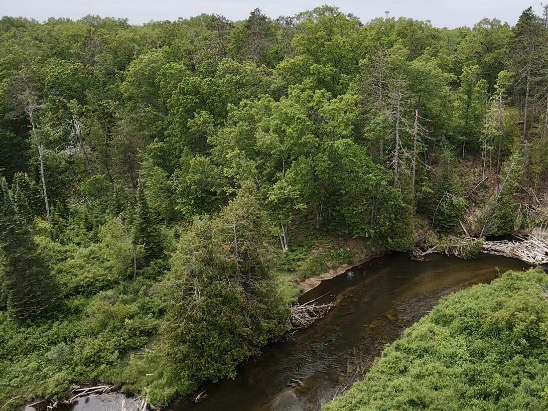 Property Photo: Wilson Road MI 49749