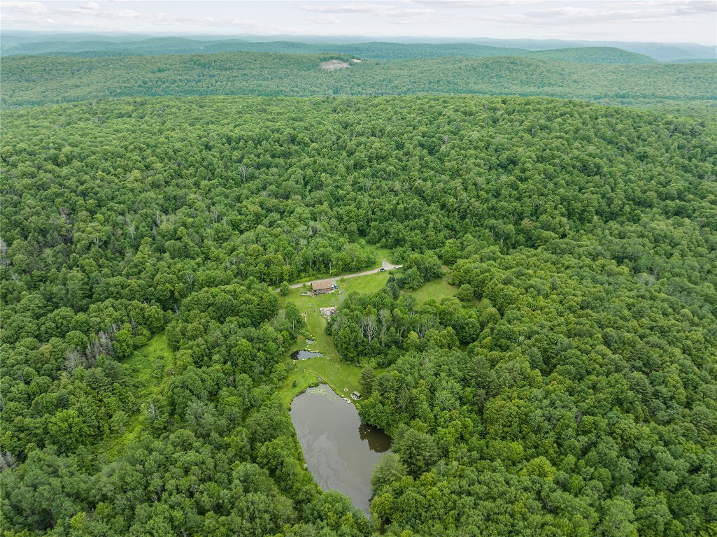 Property Photo: 308 Tennent Road NY 13865